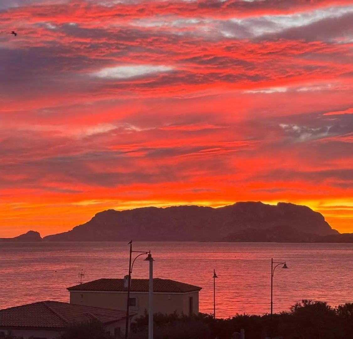 Sea View House 3 Apartment Olbia